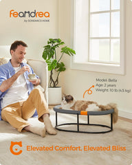 FEANDREA Elevated Mesh Cat Bed - Large, Grey, UPCB002G01 - room display